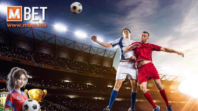 Key notes for beginners